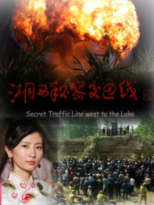 福利视频中文在线观看
